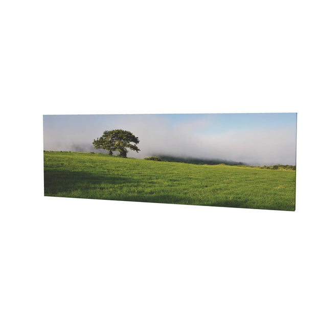 Ballingeary Lone Tree, Co. Cork