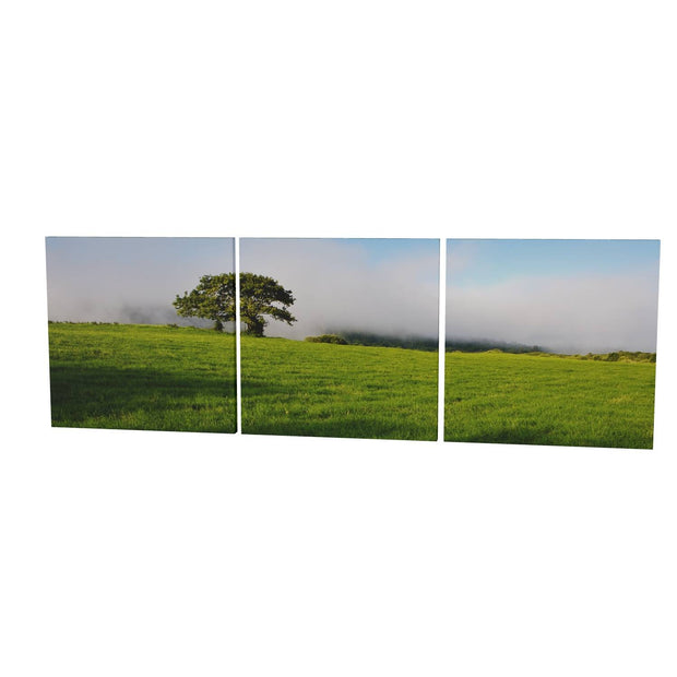 Ballingeary Lone Tree, Co. Cork