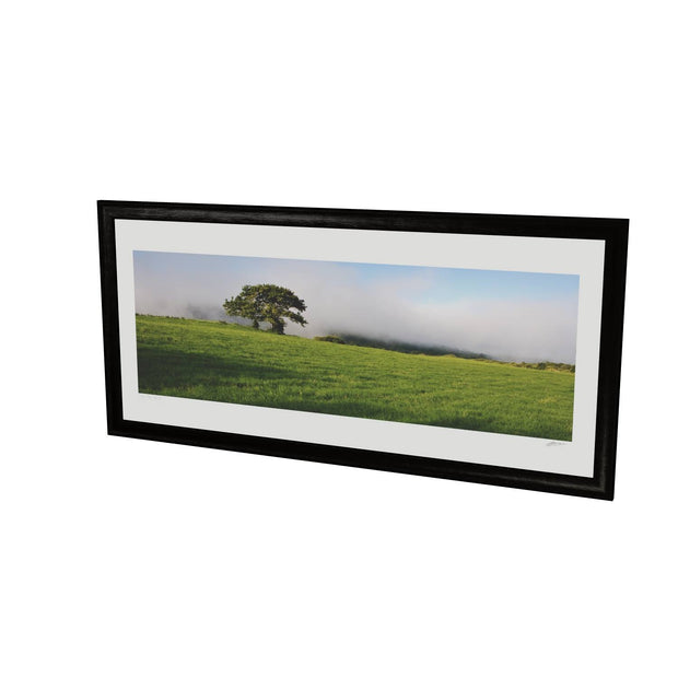 Ballingeary Lone Tree, Co. Cork