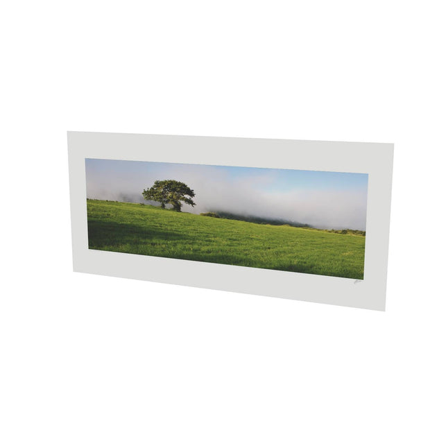 Ballingeary Lone Tree, Co. Cork