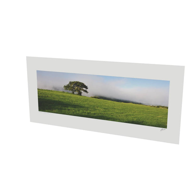 Ballingeary Lone Tree, Co. Cork