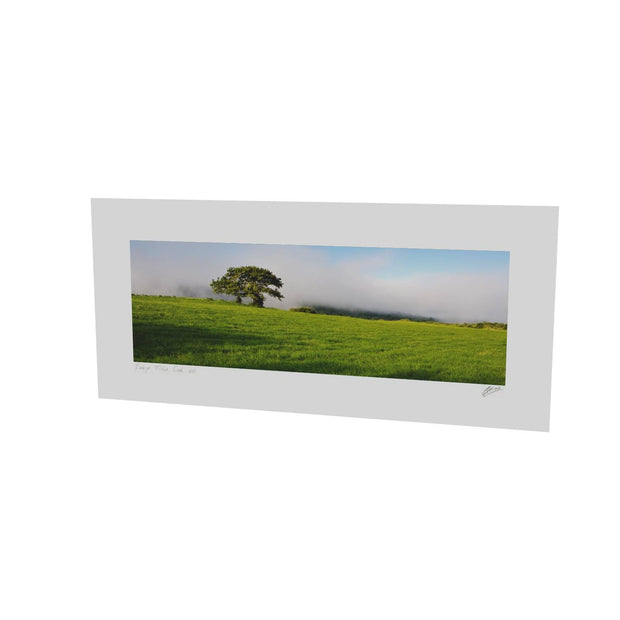 Ballingeary Lone Tree, Co. Cork