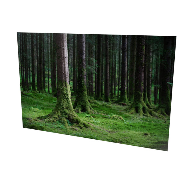Woods, Gougane Barra, Co. Cork