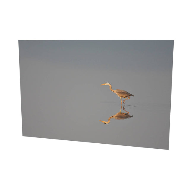 Heron, Co. Dublin