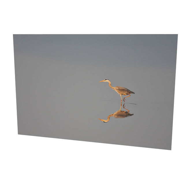 Heron, Co. Dublin