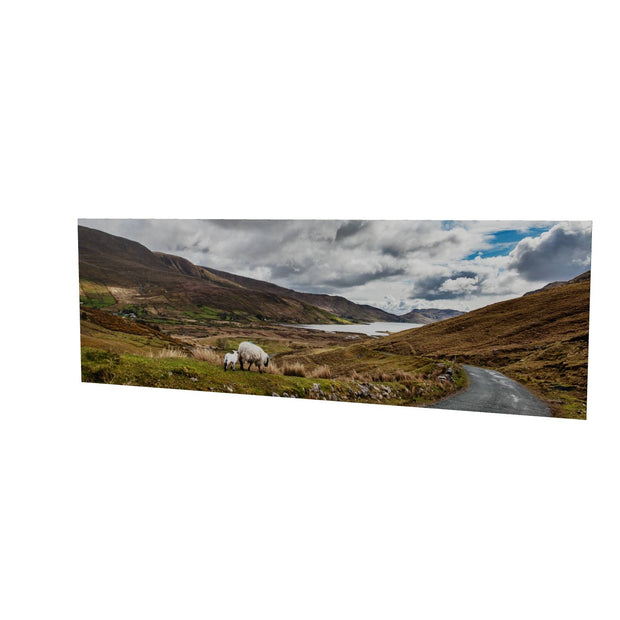 Lough Nafooey and Sheep, Co. Galway