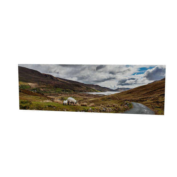 Lough Nafooey and Sheep, Co. Galway