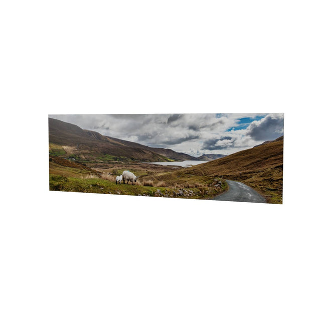 Lough Nafooey and Sheep, Co. Galway