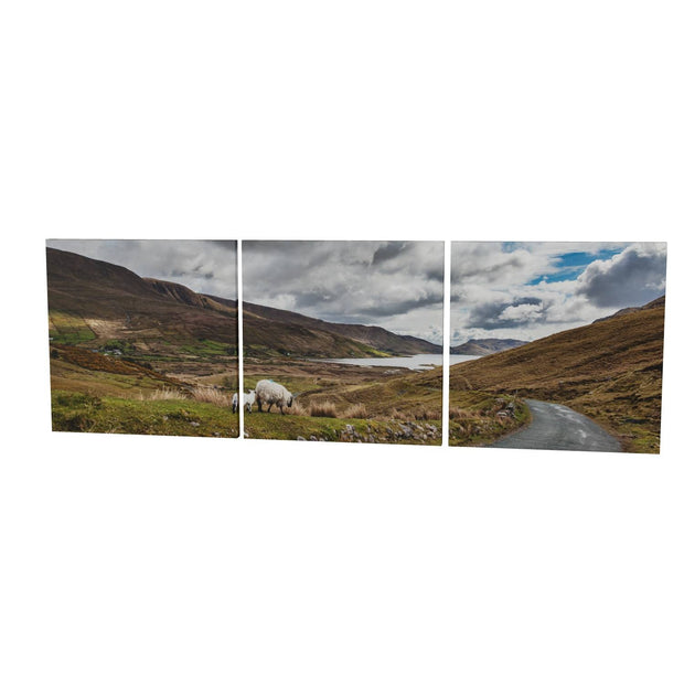 Lough Nafooey and Sheep, Co. Galway