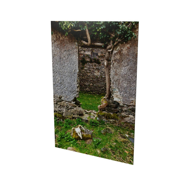 Skull and Door, Black Valley, Co. Kerry