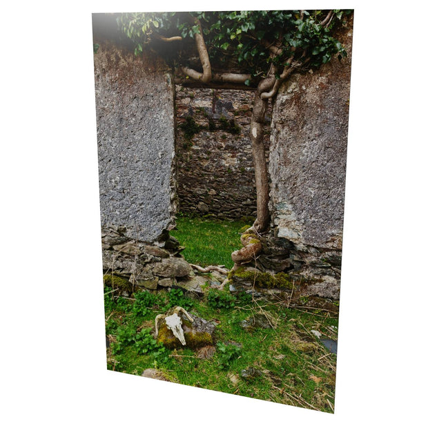 Skull and Door, Black Valley, Co. Kerry