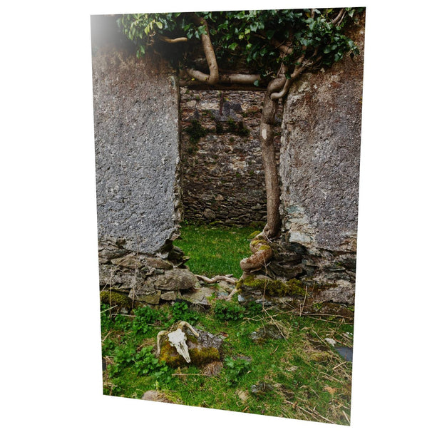 Skull and Door, Black Valley, Co. Kerry
