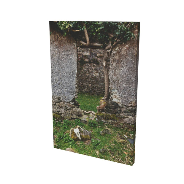 Skull and Door, Black Valley, Co. Kerry