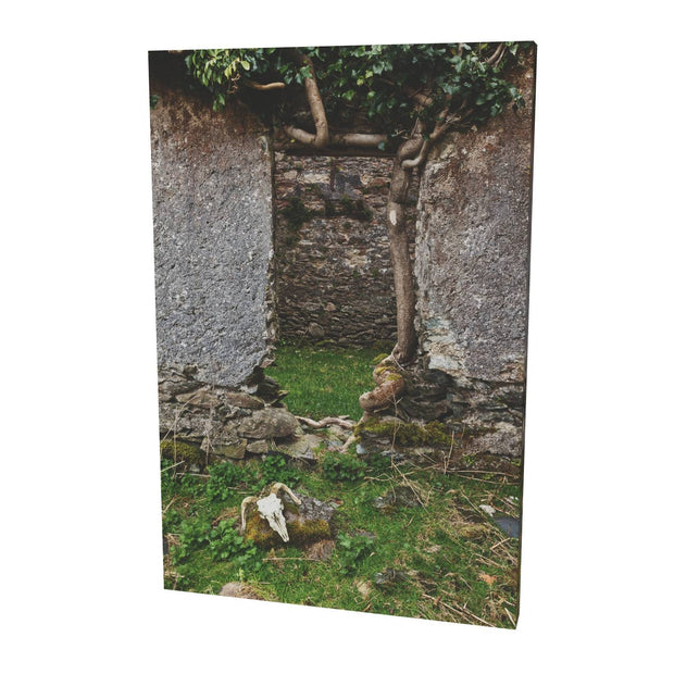 Skull and Door, Black Valley, Co. Kerry