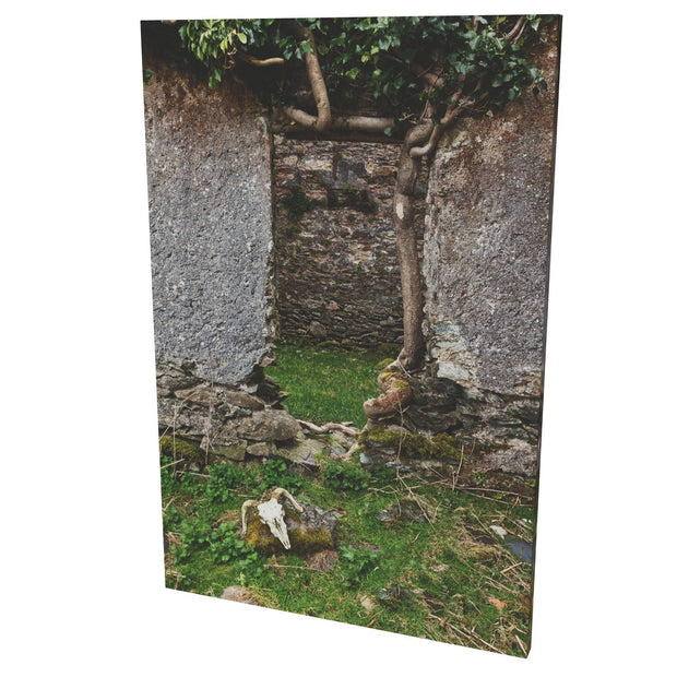 Skull and Door, Black Valley, Co. Kerry