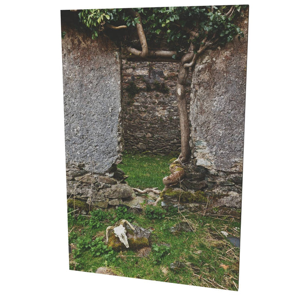 Skull and Door, Black Valley, Co. Kerry