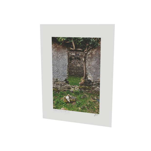Skull and Door, Black Valley, Co. Kerry