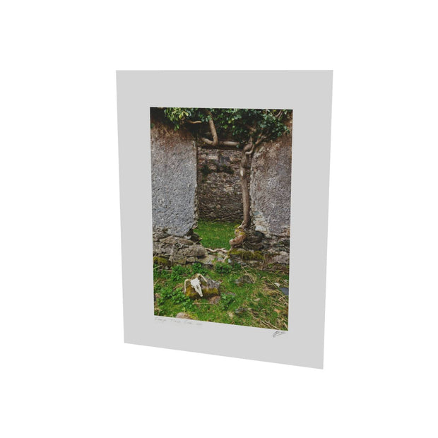 Skull and Door, Black Valley, Co. Kerry