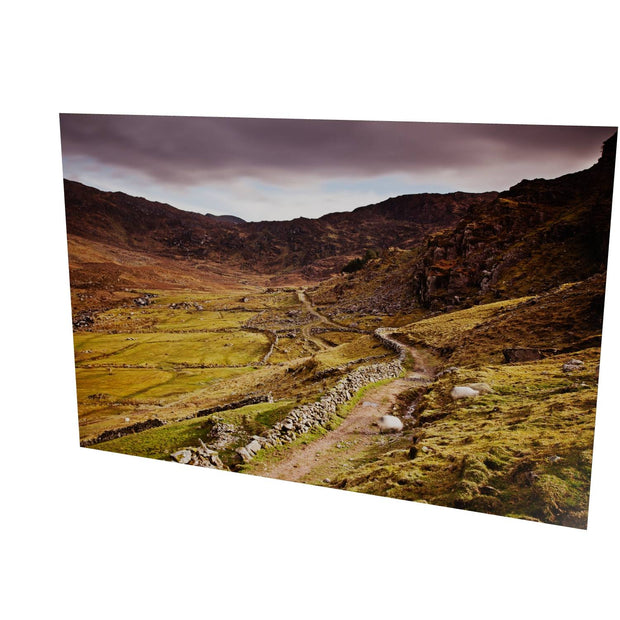 The Kerry Way