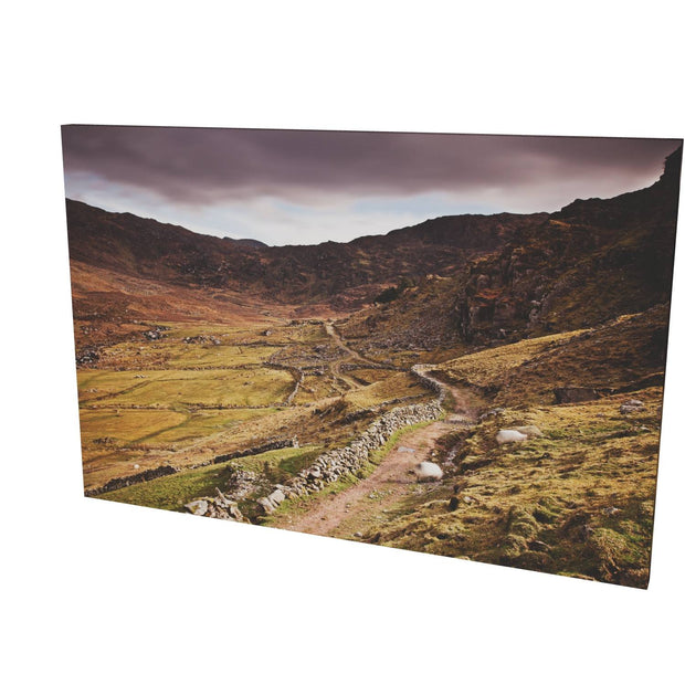 The Kerry Way