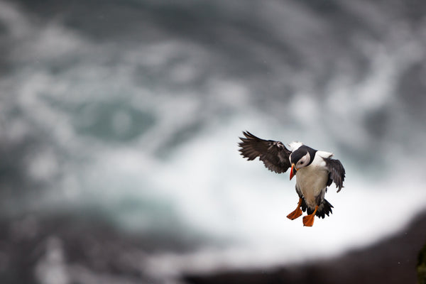 Skellig Michael & Star Wars
