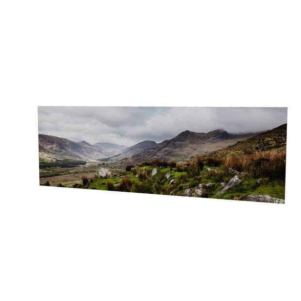 Sheep, the Black Valley, Co. Kerry