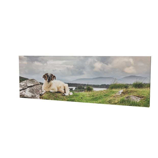 Taking it Easy, Gleninchiquin, Co. Kerry