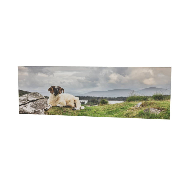Taking it Easy, Gleninchiquin, Co. Kerry
