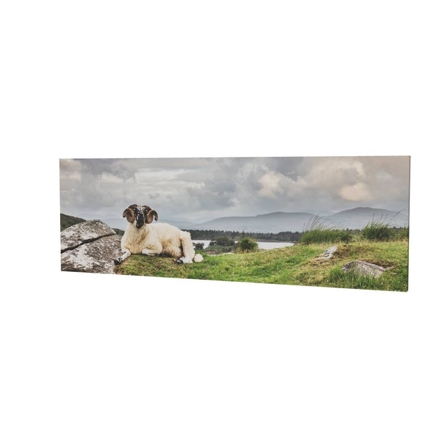 Taking it Easy, Gleninchiquin, Co. Kerry
