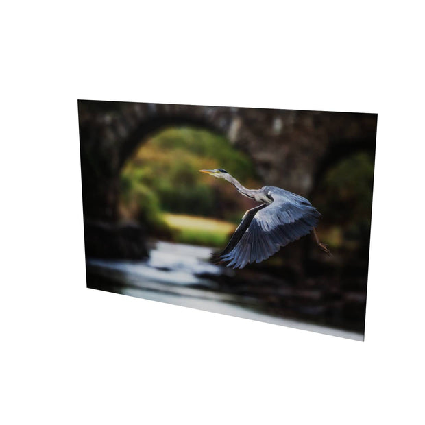 Heron, Meeting of the Waters, Killarney, Co. Kerry