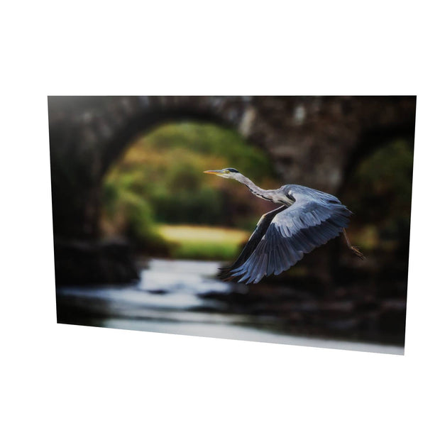 Heron, Meeting of the Waters, Killarney, Co. Kerry