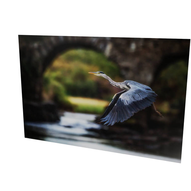 Heron, Meeting of the Waters, Killarney, Co. Kerry