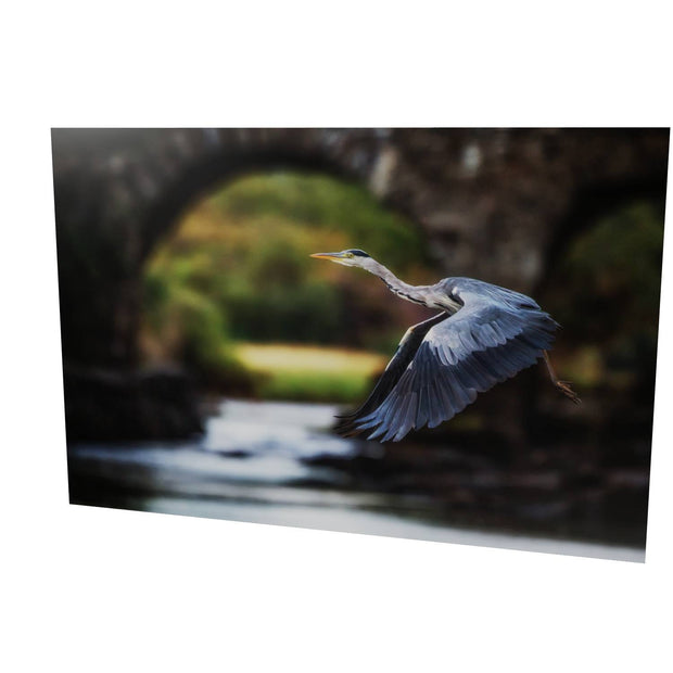 Heron, Meeting of the Waters, Killarney, Co. Kerry
