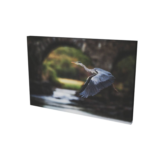 Heron, Meeting of the Waters, Killarney, Co. Kerry