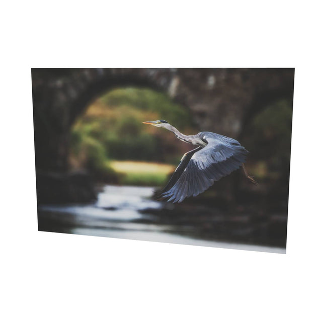 Heron, Meeting of the Waters, Killarney, Co. Kerry
