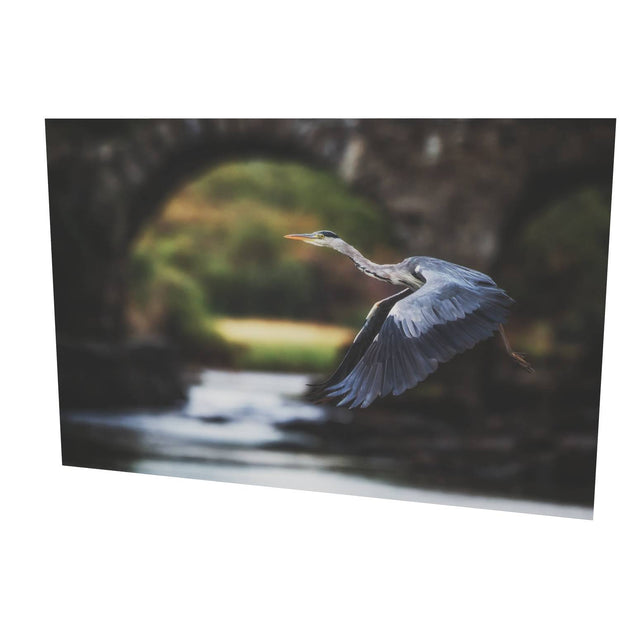 Heron, Meeting of the Waters, Killarney, Co. Kerry