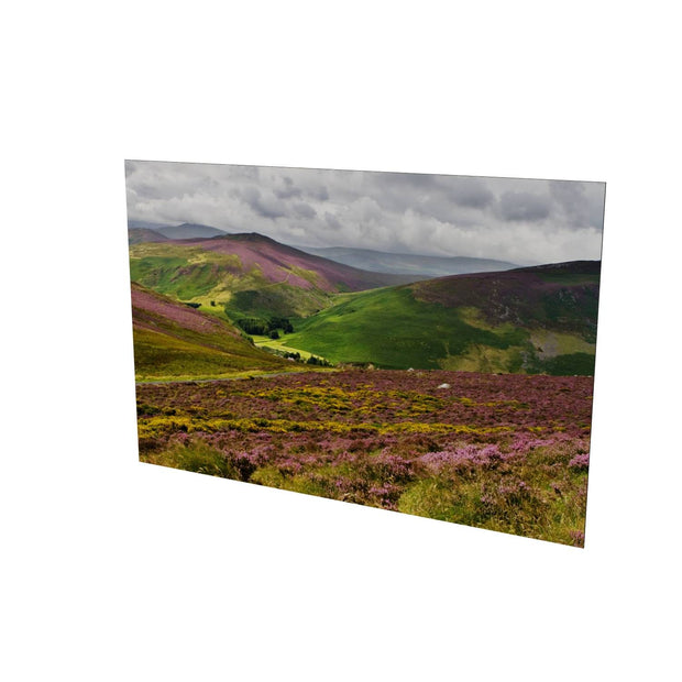 Wicklow Mountains