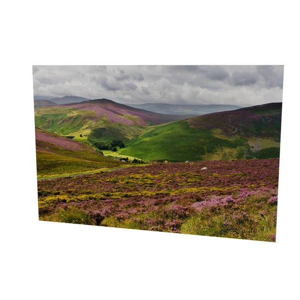 Wicklow Mountains