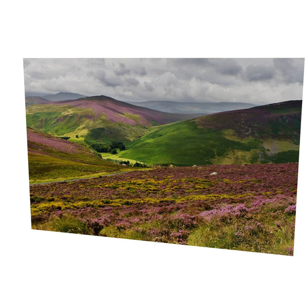 Wicklow Mountains