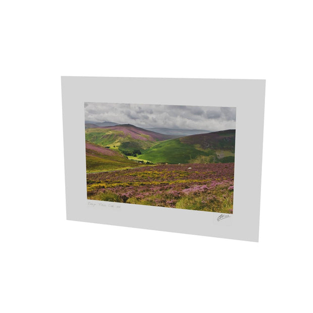 Wicklow Mountains