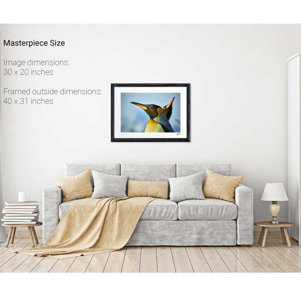 Penguin Reflections, St. Andrew's Bay, South Georgia - Fine Art Print