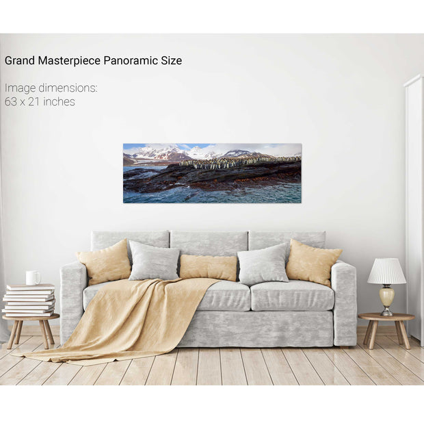 Penguins and Leopard Seal, St. Andrew's Bay, South Georgia - Fine Art Print