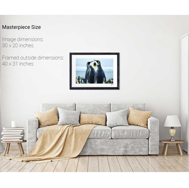 Penguin Conference, Gold Harbour, South Georgia - Fine Art Print