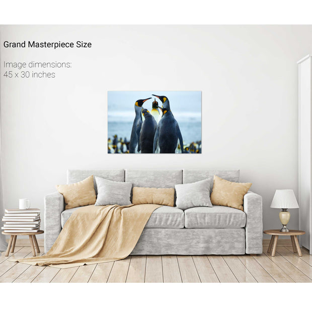 Penguin Conference, Gold Harbour, South Georgia - Fine Art Print