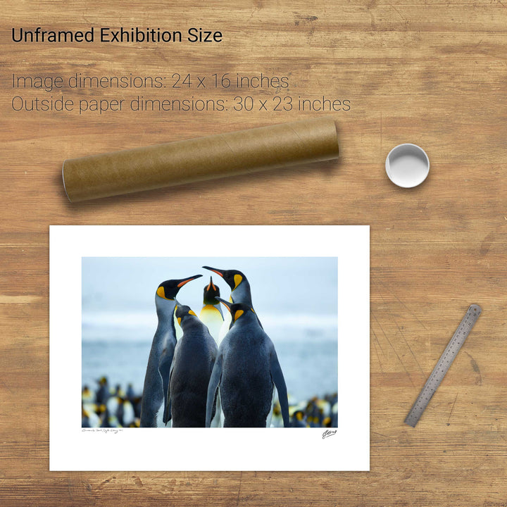 Penguin Conference, Gold Harbour, South Georgia - Fine Art Print