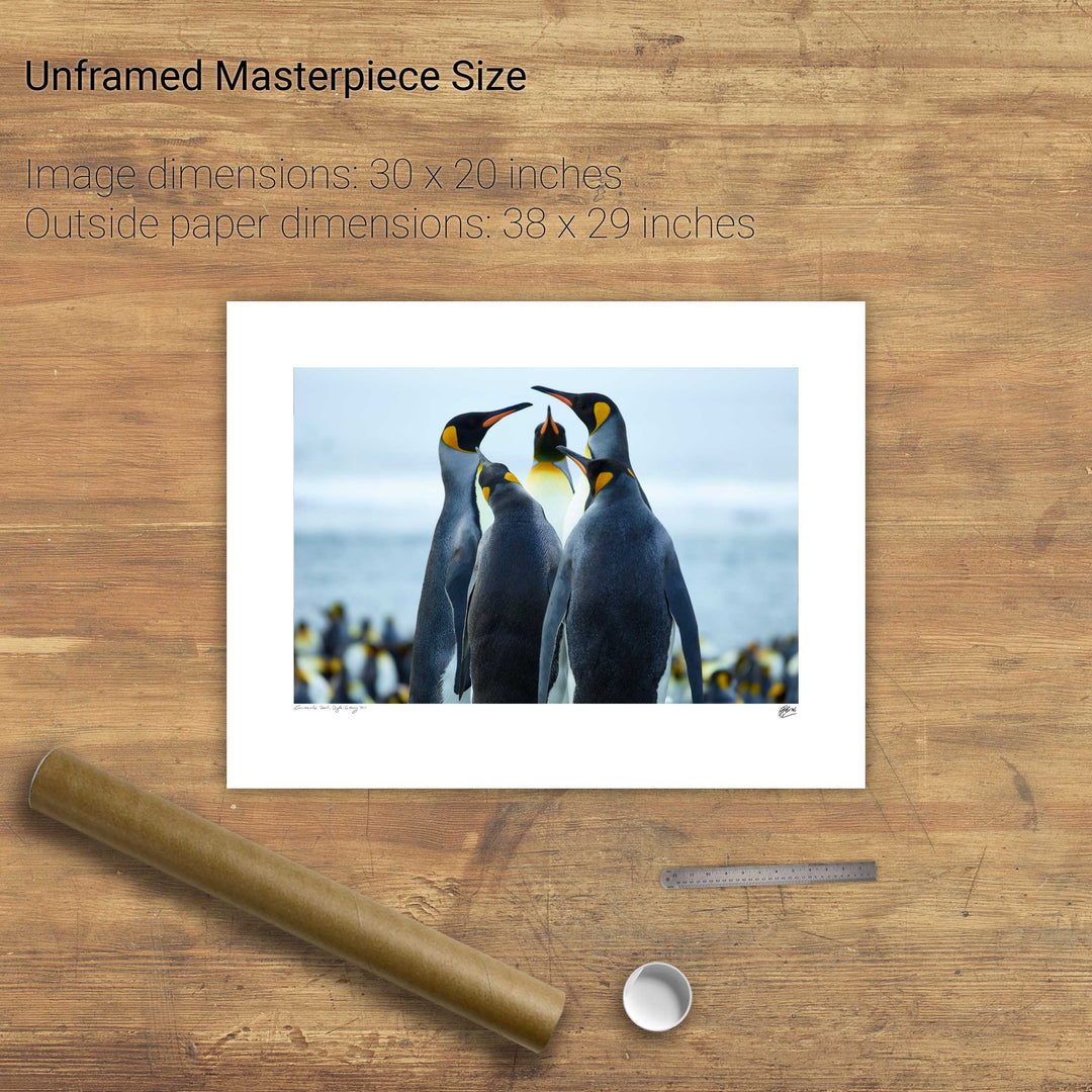 Penguin Conference, Gold Harbour, South Georgia - Fine Art Print