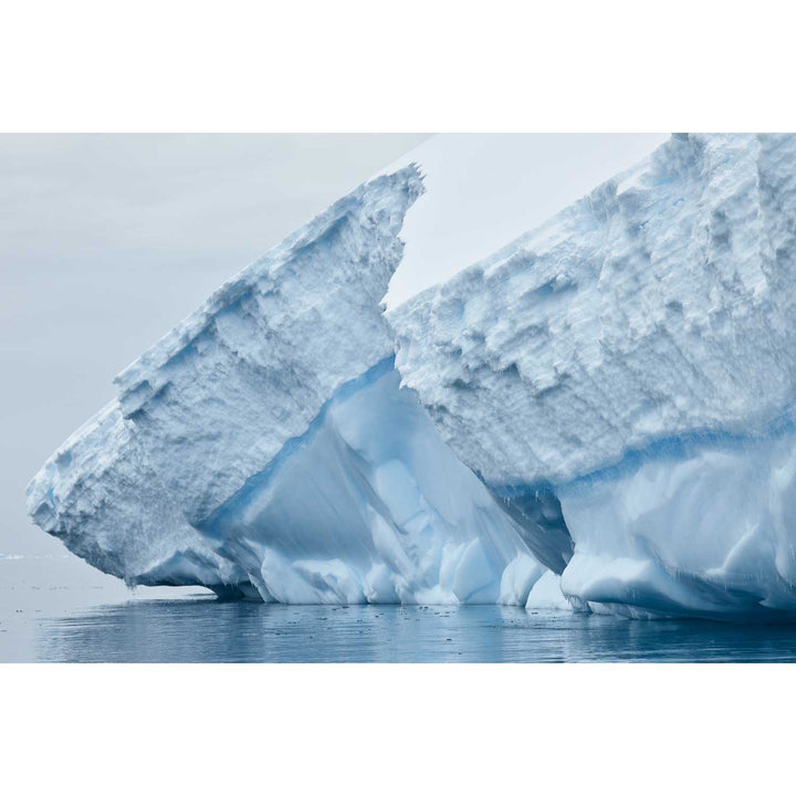 Iceberg I, Cuverville Island, Antarctic Peninsula