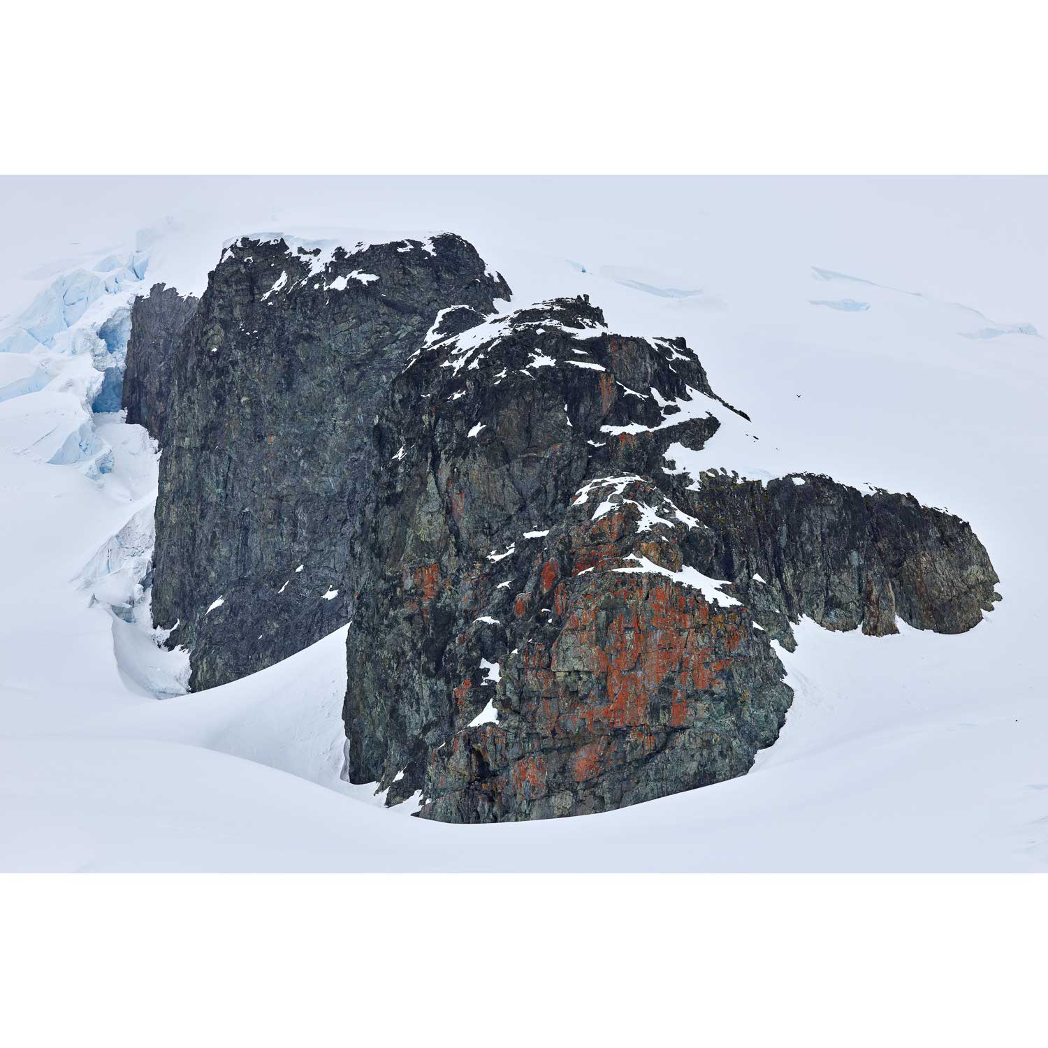 Cliff, Cuverville Island, Antarctic Peninsula