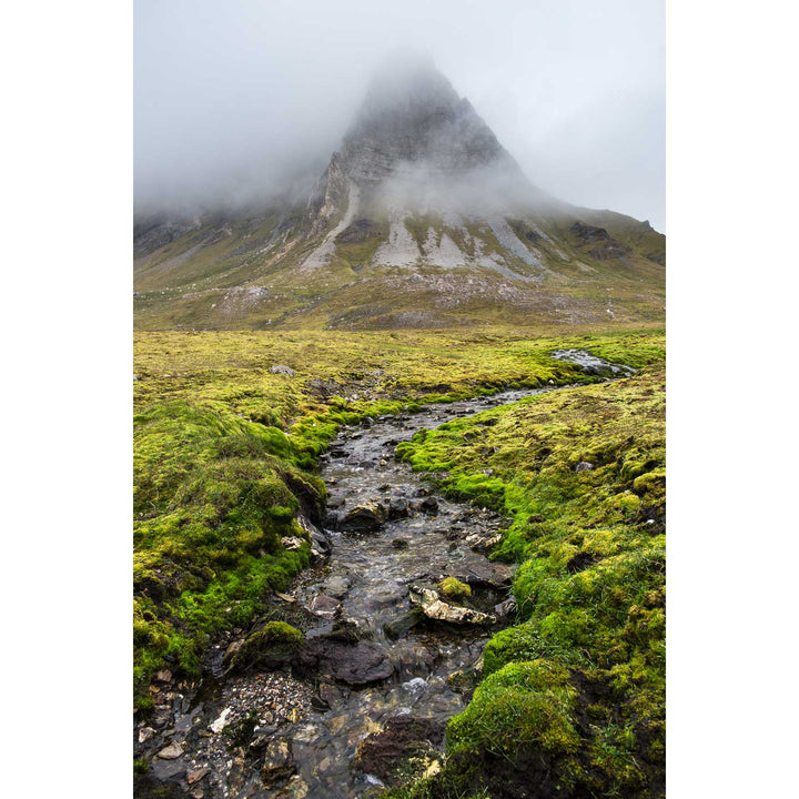 Alkhornet, Svalbard