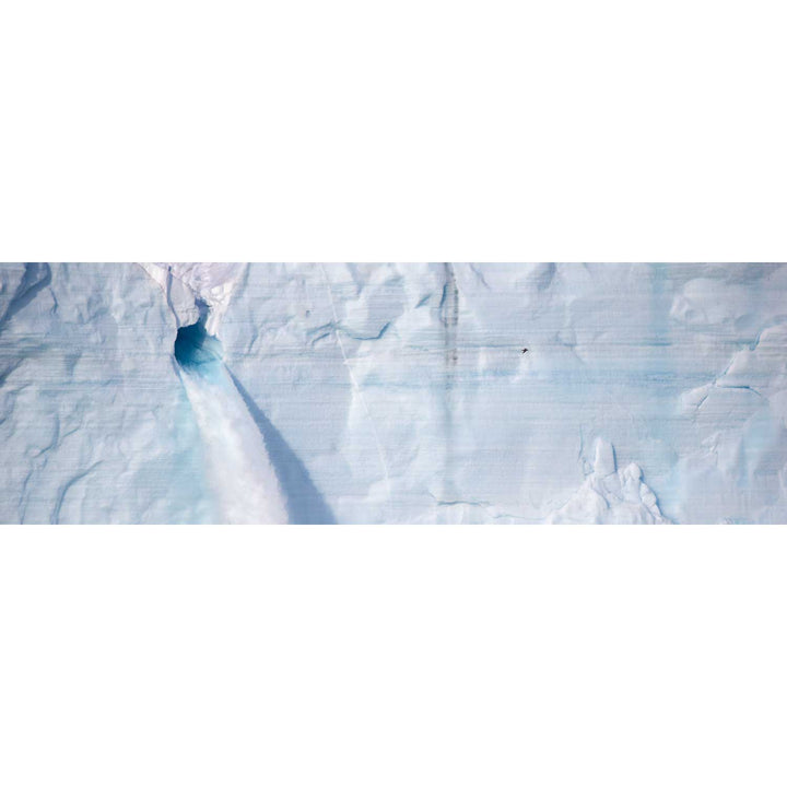 Meltwater and Bird, Svalbard